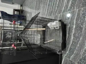 Bird Cages,Cages of Quality