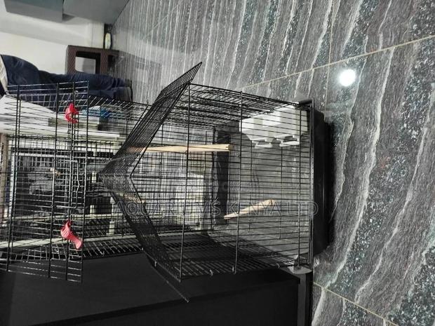 Bird Cages,Cages of Quality