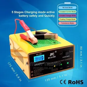 Dual Mode Automatic Intelligent Pulse Battery Charger