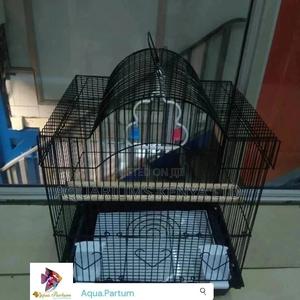 Cage ,Bird Cages - thumbnail 2