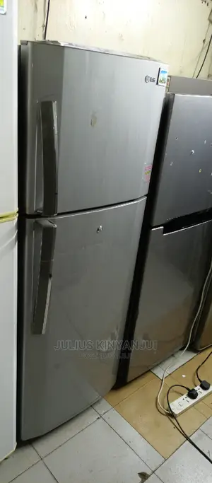 Double Door Fridge LG