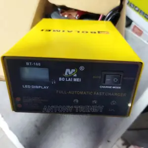 Full Automatic Fast Charger 12v and 24v Intelligent Charger