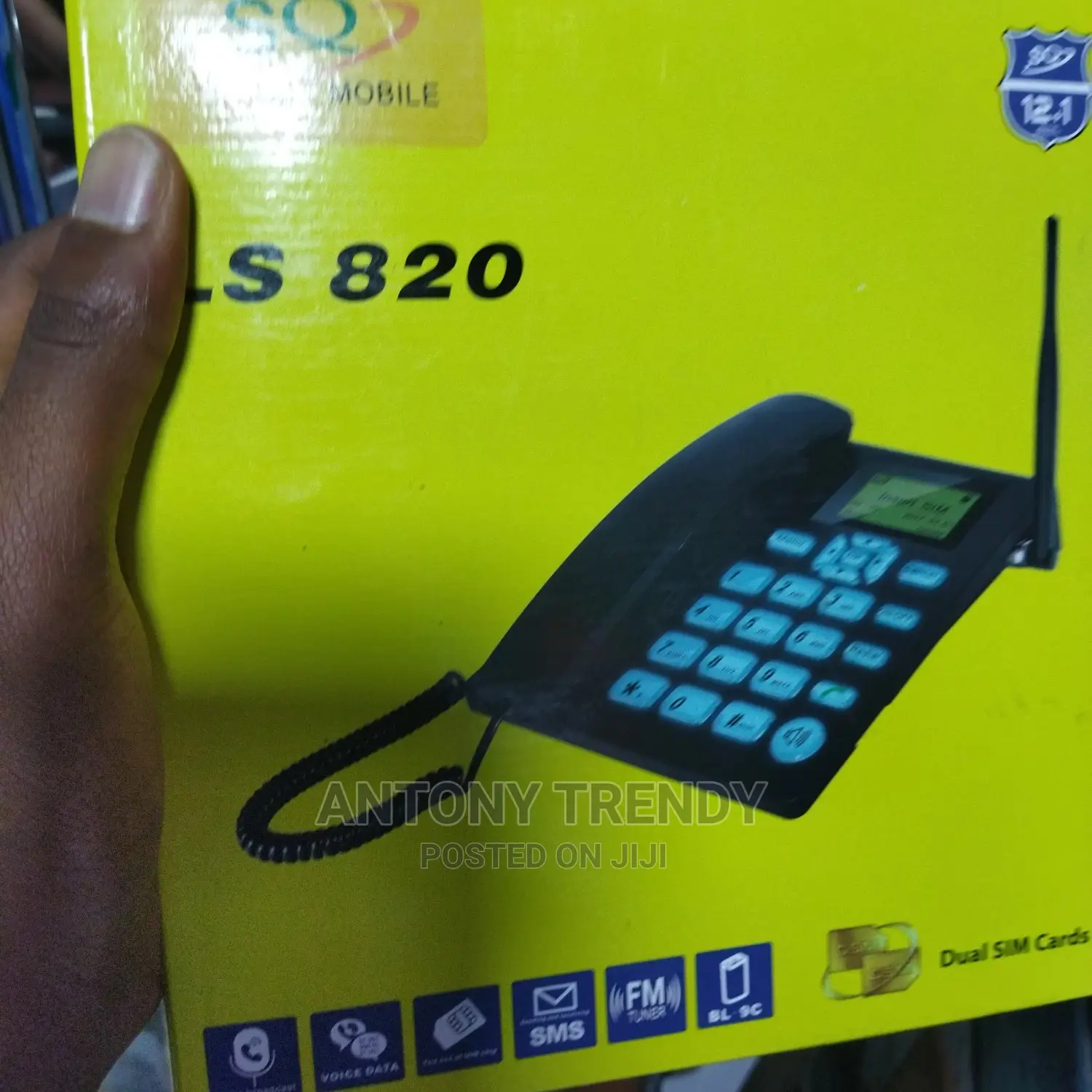 GSM Fixed Wireless Phones