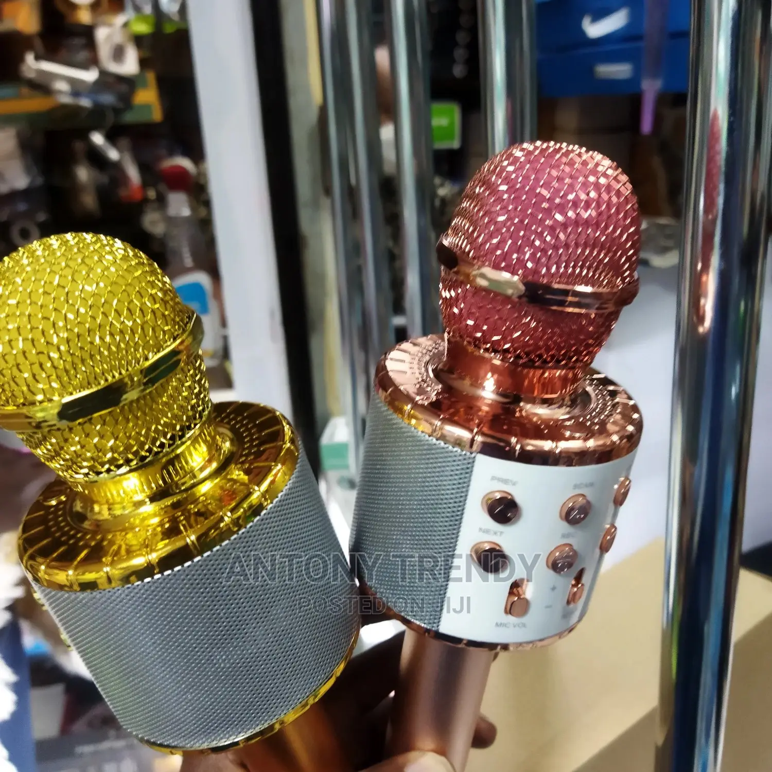 Karaoke Microphone Wireless