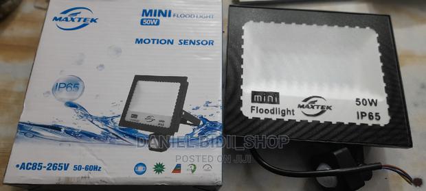 Electric Flood Light 100w