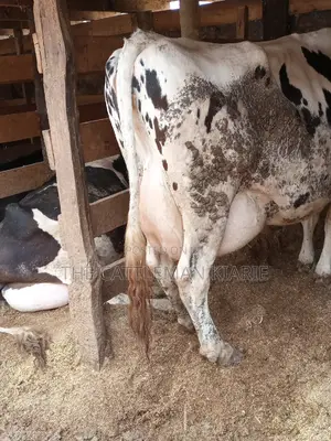 Super Giant Pedigree