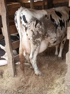 Super Giant Pedigree