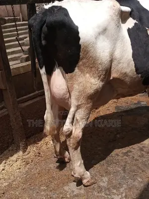 Super Giant Pedigrees