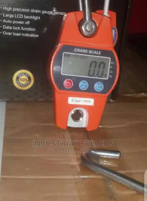 Accurate 300kgs Hook Weighing Scale