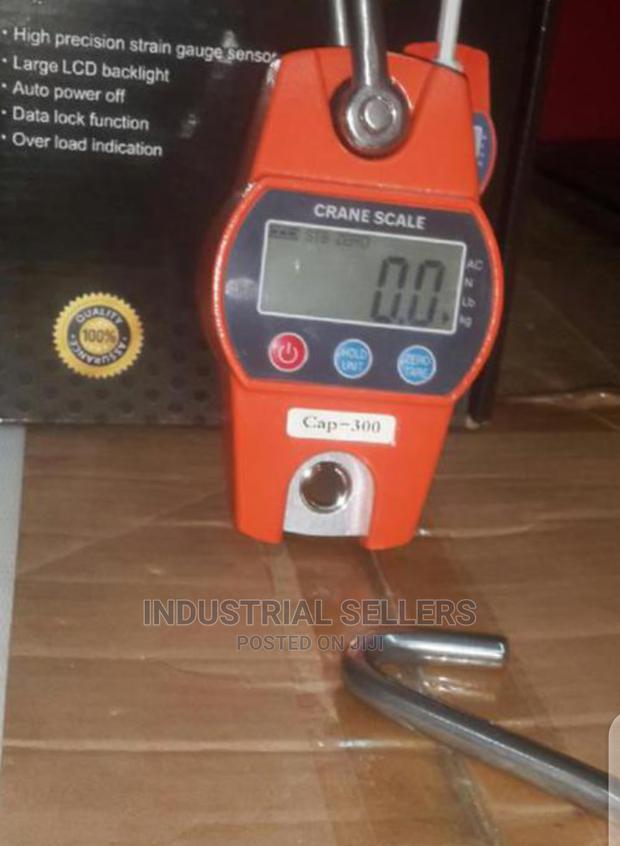 Accurate 300kgs Hook Weighing Scale