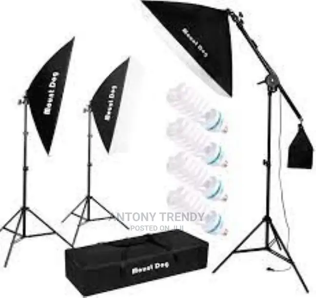Softbox Lighting Kit Photography Studio Light 2x50x70cm Prof