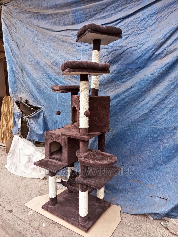 Cat Tree for Sale - main view