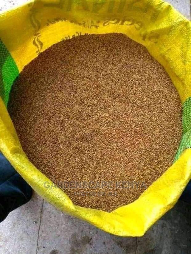 Desmodium Green Leaf Seeds - main view