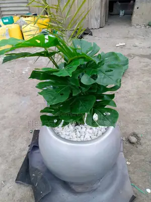 Fibreglass Flower Pots