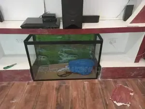 Affordable Aquarium ,Custom Aquariums , Aquarium Accessories