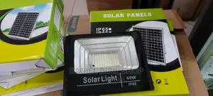 60w Solar Floodlight With Panel