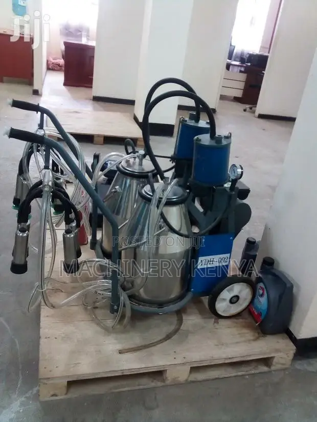 Milking Machine for Milking Two Cows