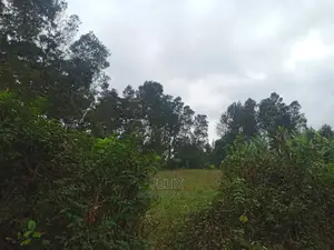 3 Acres on Sale Karatina /Kabiruini