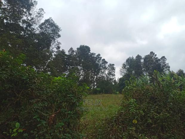3 Acres on Sale Karatina /Kabiruini - main view