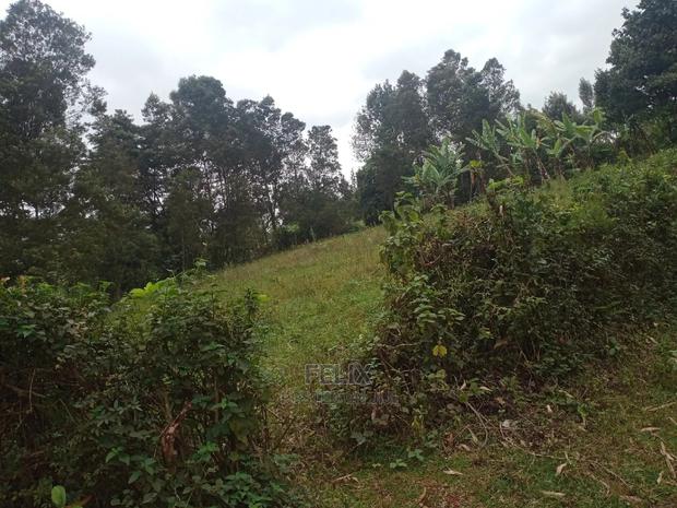 3 Acres on Sale Karatina /Kabiruini - thumbnail 3