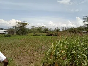 Plot for Sale in Lanet Methodist
