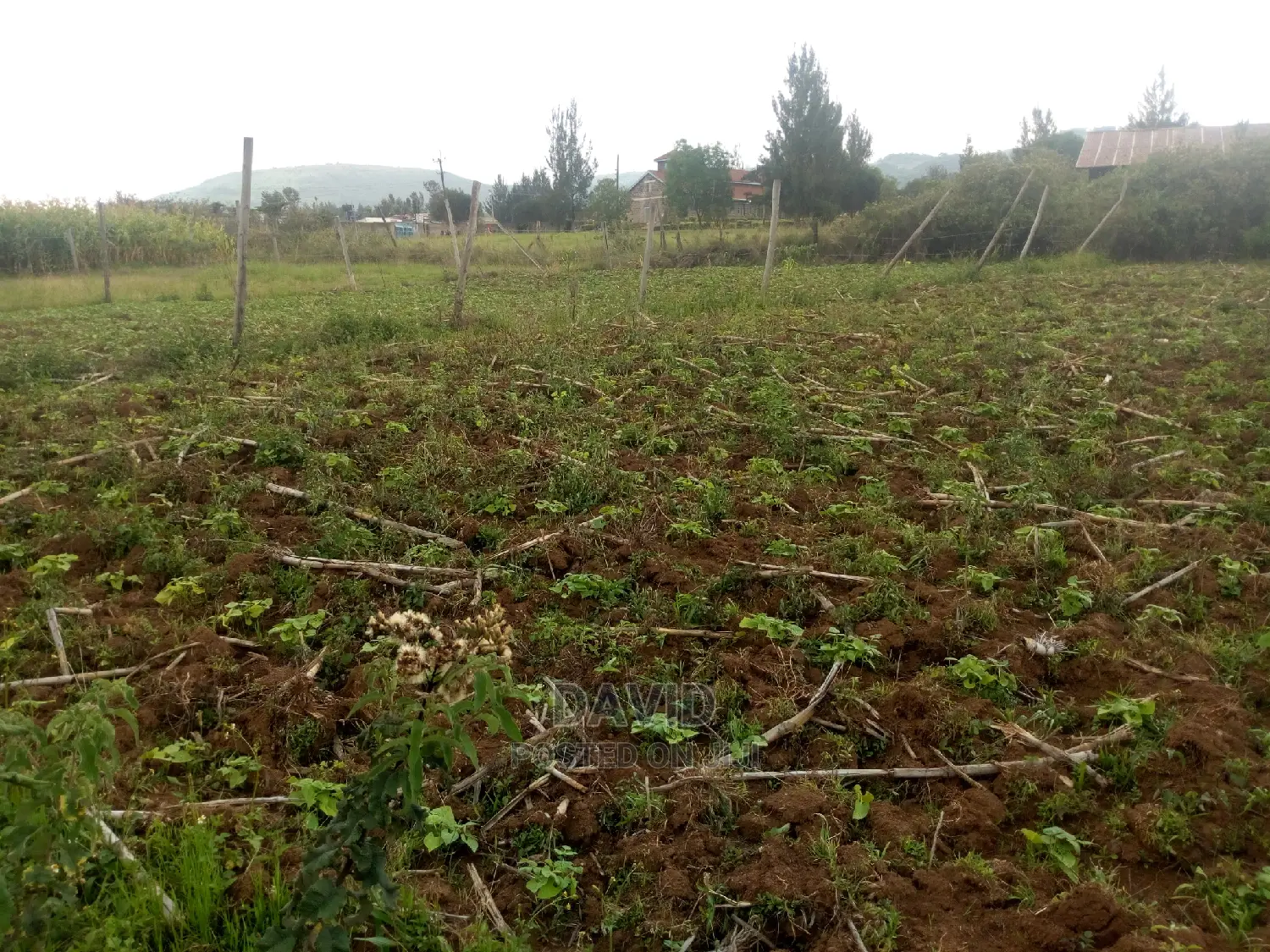 Plot for Sale in Lanet Methodist