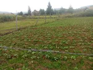 Plot for Sale in Lanet Methodist