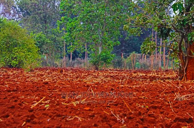 Prime Land Large Parcel - thumbnail 3