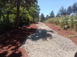Gatitu/Nyeri 50/100 Prime Plots