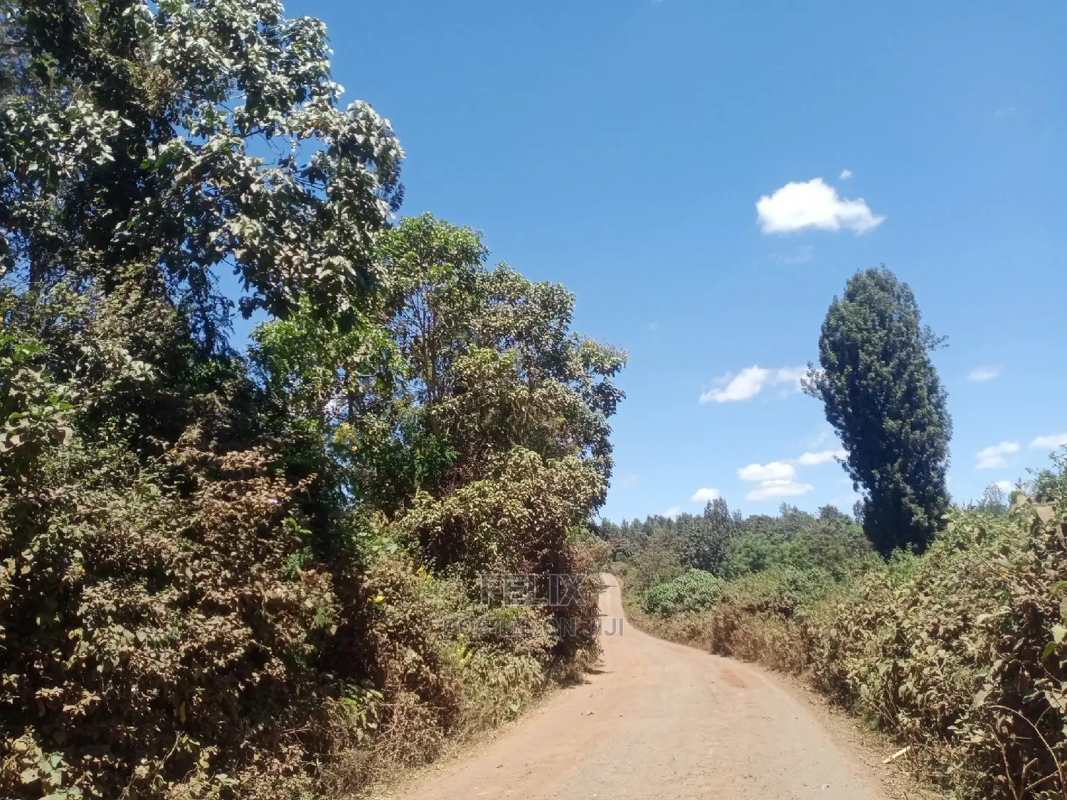 Gatitu/Nyeri 50/100 Prime Plots