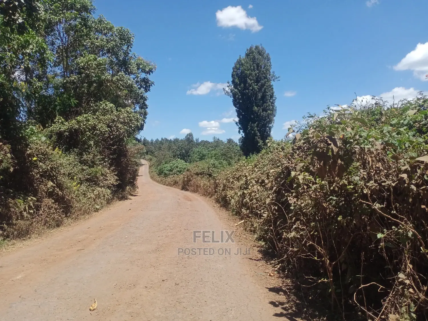 Gatitu/Nyeri 50/100 Prime Plots