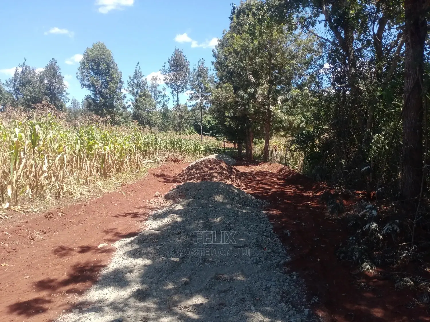 Gatitu/Nyeri 50/100 Prime Plots
