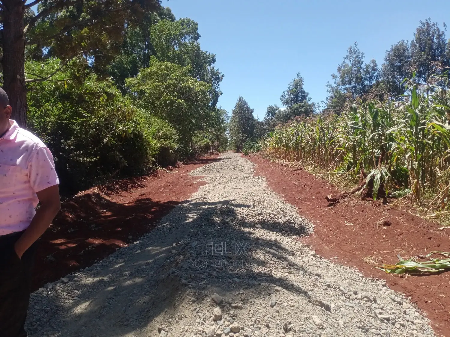 Gatitu/Nyeri 50/100 Prime Plots