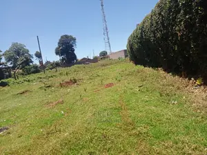 Karatina/Karindundu Prime Plots