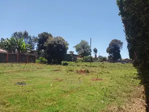 Karatina/Karindundu Prime Plots
