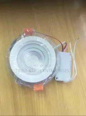 3wts Complete Downlighter
