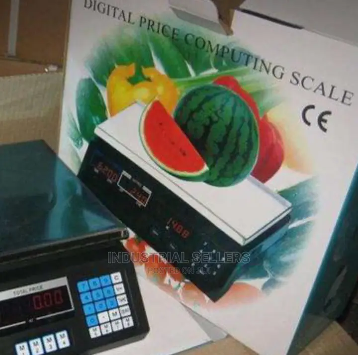 Stainless 30kgs Weighing Scale