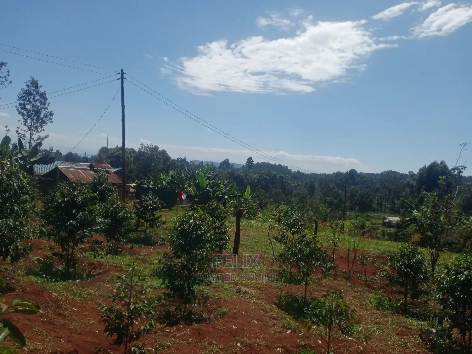 Karatina Mwanda Quarter Plot