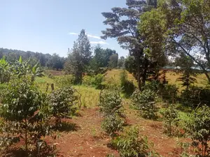 Karatina Mwanda Quarter Plot