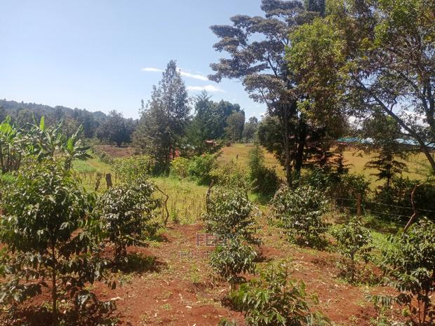 Karatina Mwanda Quarter Plot - thumbnail 3