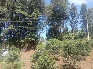 Karatina Mwanda Quarter Plot