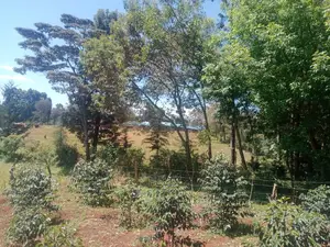 Karatina Mwanda Quarter Plot