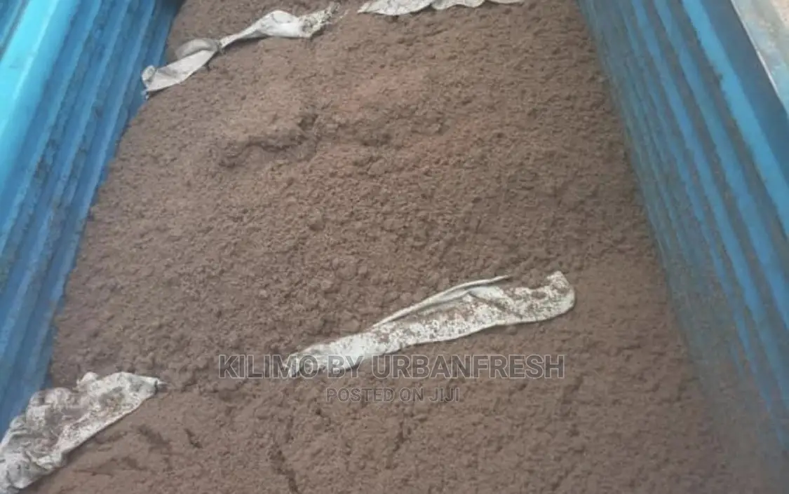 Machicha ( Brewery Spent Grain ) MOIST 100kgs Packed.