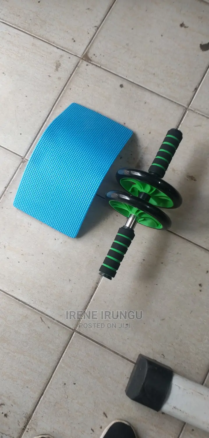 Double Wheel Roller