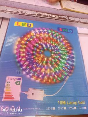 Snake Light - main view