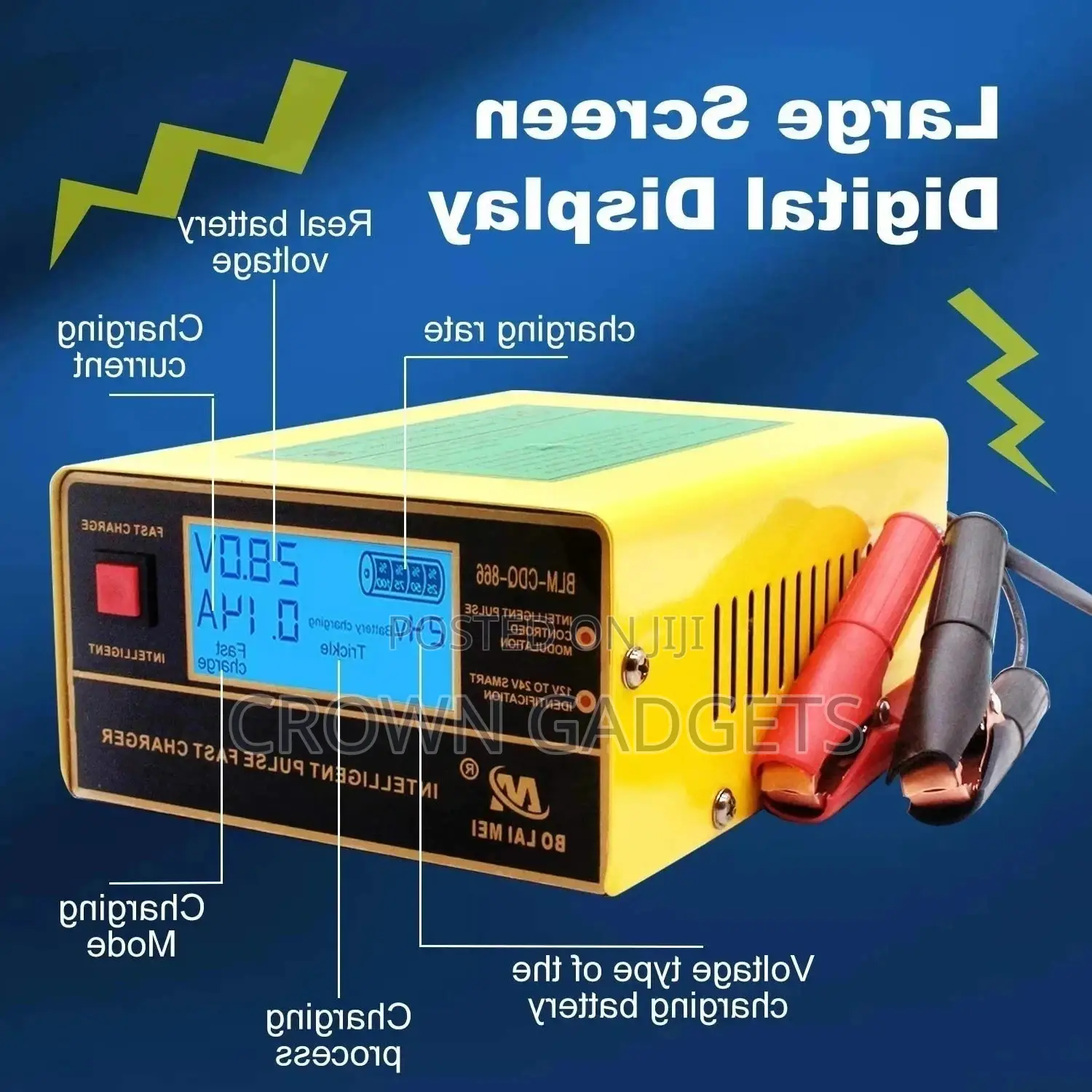 Switchable Car Battery Charger