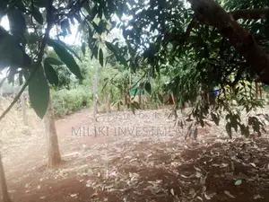 40 by 80 Plot on Sale at Kenol