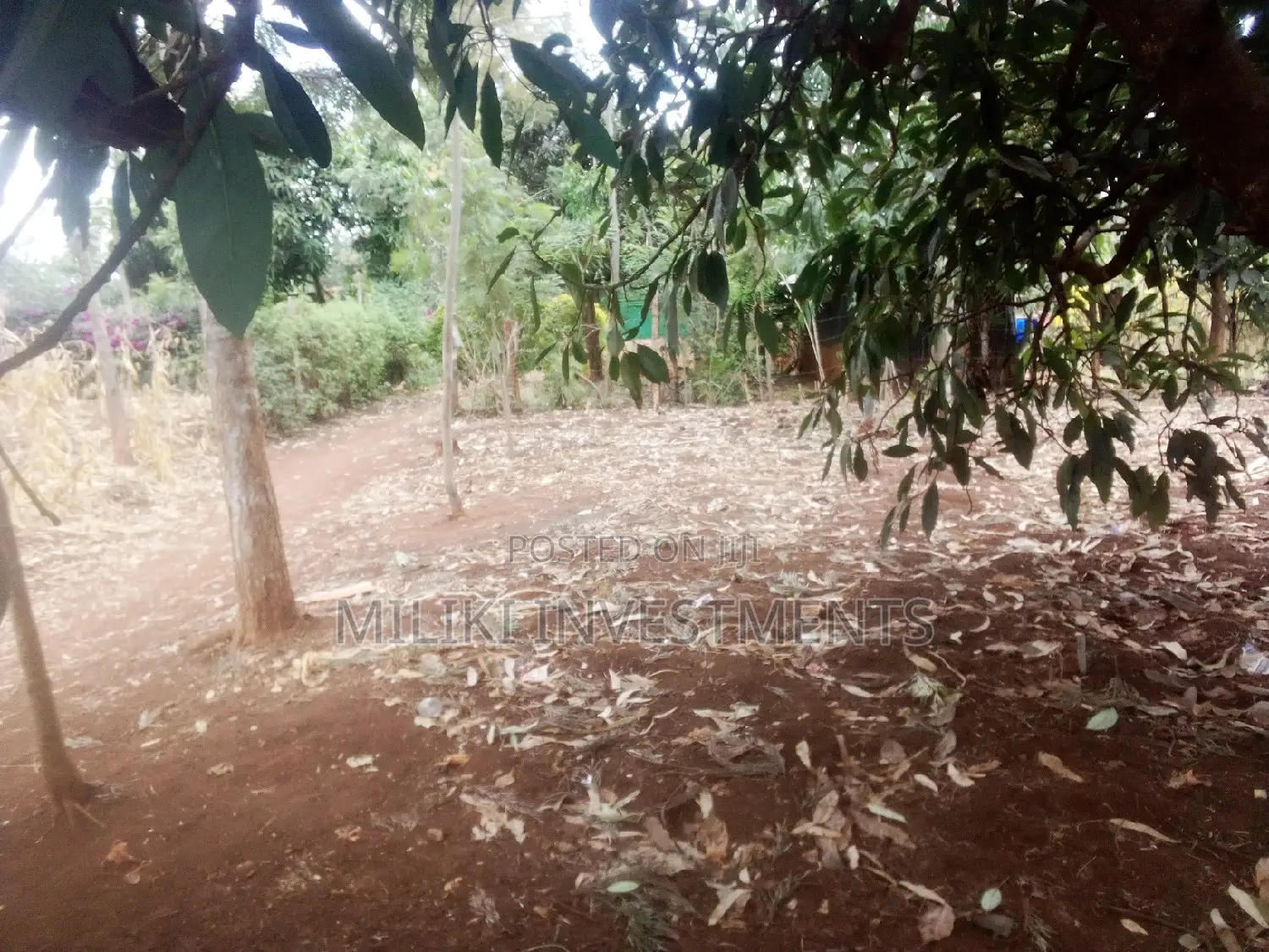 40 by 80 Plot on Sale at Kenol