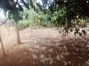 40 by 80 Plot on Sale at Kenol