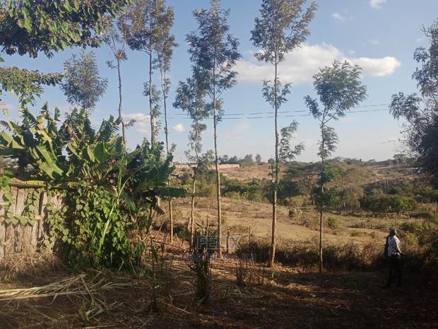 Chaka/Milimani 50/100 - thumbnail 3